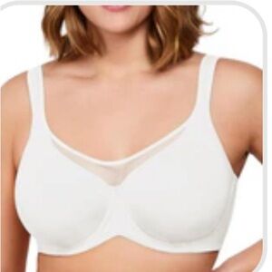 Hilaine Filled Minimizer Bra size M NEW!